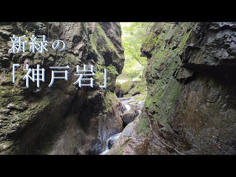 檜原村の見どころ「新緑の神戸岩」【天然記念物】【秘境】