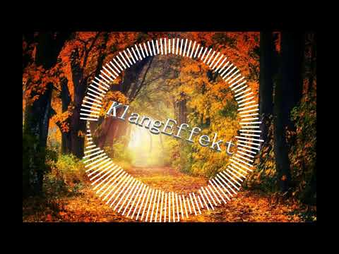 Karel Gott & Darinka - Fang das Licht (Klangeffekt Mix)