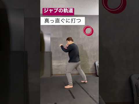 ジャブを正しく出せるようになろう #mma #格闘技 #筋トレ #フィットネス #bodybuilding #トレーニング #体幹 #武道 #workout #ダイエット #boxing #kick