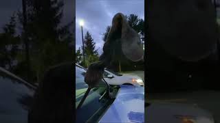 Prepping your car for snow with Amy Aaronson!