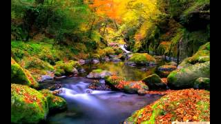 Refresh & ENERGY BOOST in 5 minutes - Guided Meditation