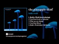 The Pineapple Thief - Build a World (from Build a ...