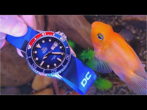 Orient Kamasu II - SEIKO KILLER! - The best diver under 300$?