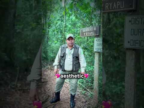 La impresionante naturaleza del Parque Ñacunday fue protagonista en un material que se volvió viral.