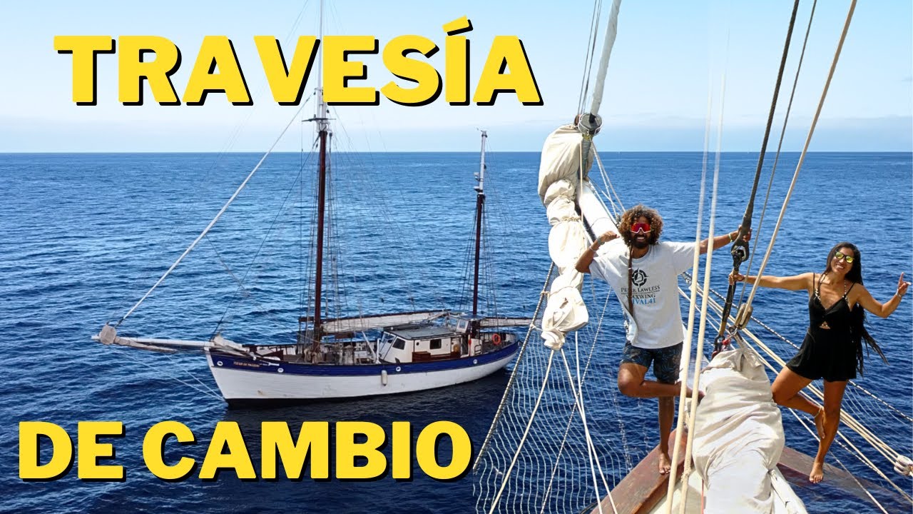 NAVE della Seconda Guerra Mondiale che CAMBIA la VITA, L'IMPATTO sui BAMBINI con PROBLEMI COMPORTAMENTALI