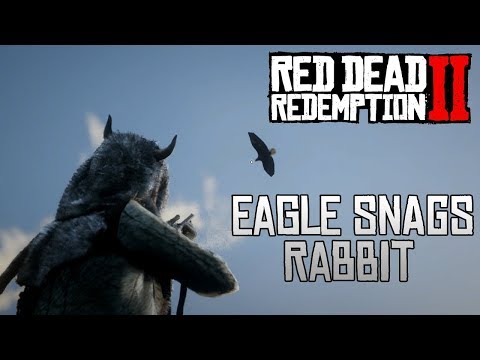 Red Dead Redemption 2 - Eagle Snags Rabbit