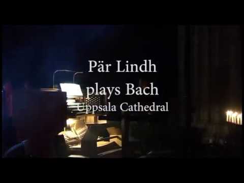 Pär Lindh plays Bach