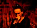 Ассаи - Муза (Gogol-club, 23-04-10) 