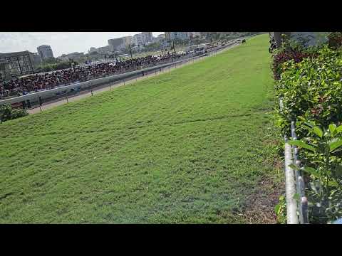 The gatekeeper ❤️🔥