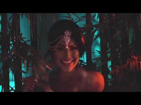 CHUTNEY KING   ARTICAL DON PROMO VIDEO