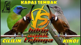 Download lagu MASTERAN MURAI BATU ll FULL TEMBAKAN CILILIN VS KINOI VS KAPAS TEMBAK VERSI JEDA mp3 Download lagu MASTERAN MURAI BATU ll FULL TEMBAKAN CILILIN VS KINOI VS KAPAS TEMBAK VERSI JEDA mp3