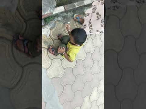 Playing with small dog