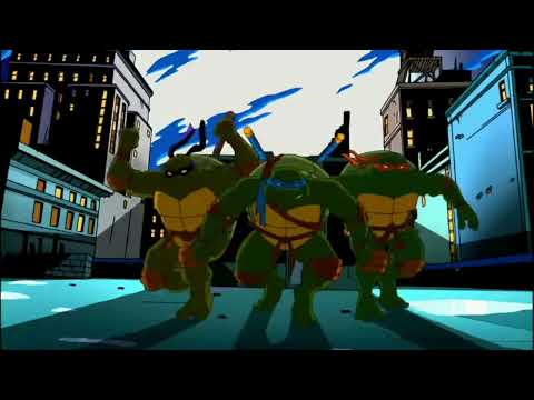 Teenage Mutant Ninja Turtles (2003): Can't Stop Rockin'