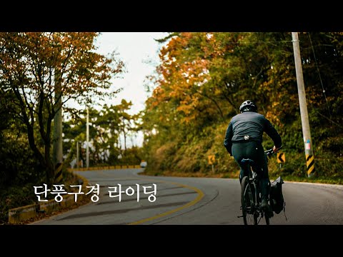 흐린날 자전거 타고 나홀로 단풍구경