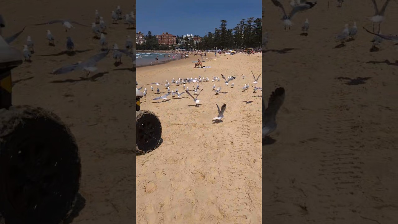 YouTube Short thumbnail