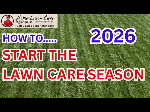 Don't Make These Spring Lawn Mistakes This Year