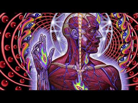 Anugama - Chakra Journey