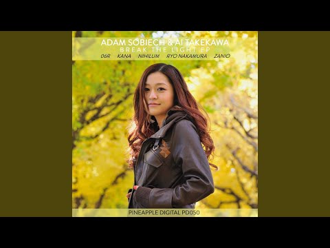 Yoru Wo Koete, Break the Light (Zanio Remix)