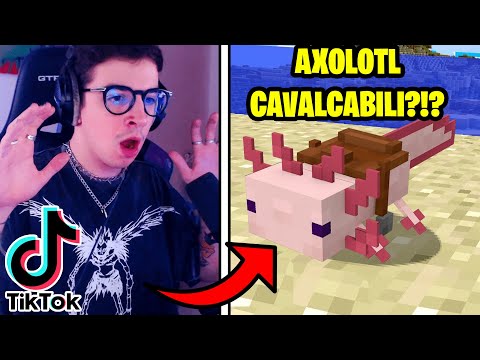10 TIKTOK *SEGRETI* DA USARE SU MINECRAFT 1.17!!