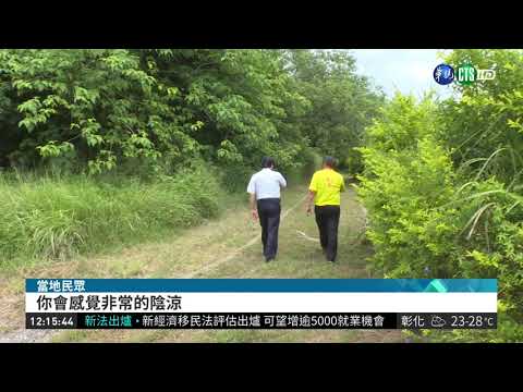 鯉魚潭水庫旁 沼澤森林打造花之島