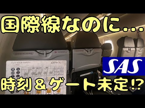 スカンジナビア航空システムについて詳しく解説