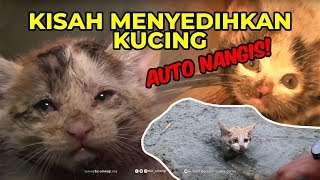 Download lagu Menyedihkan! Kisah Anak Kucing Minta Tolong - Masa Sih Episode 5 mp3 Download lagu Menyedihkan! Kisah Anak Kucing Minta Tolong - Masa Sih Episode 5 mp3