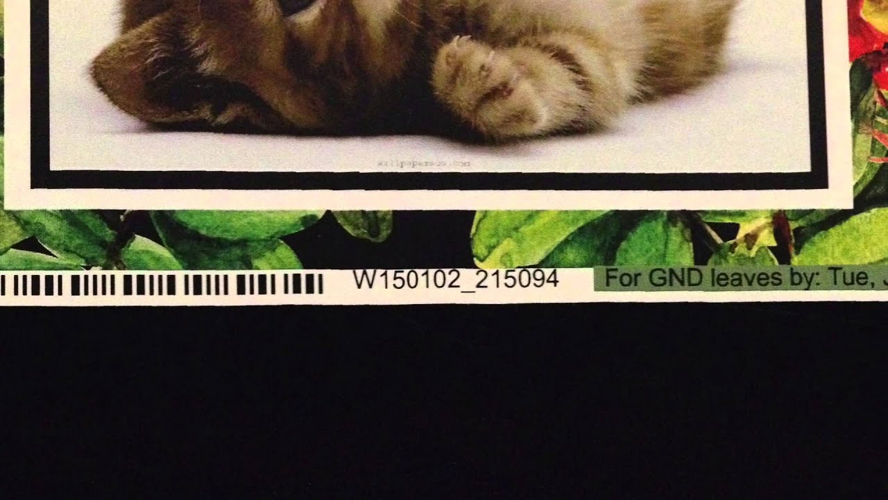 CatPrint Printing Production Walkthrough