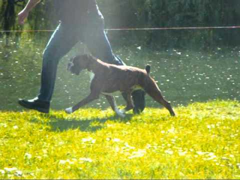 CH Valeska Thats a Wrap