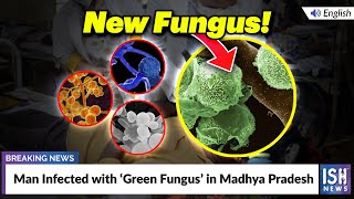 Man Infected with ‘Green Fungus’ in Madhya Pradesh