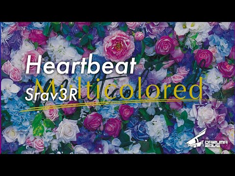 Srav3R - Heartbeat