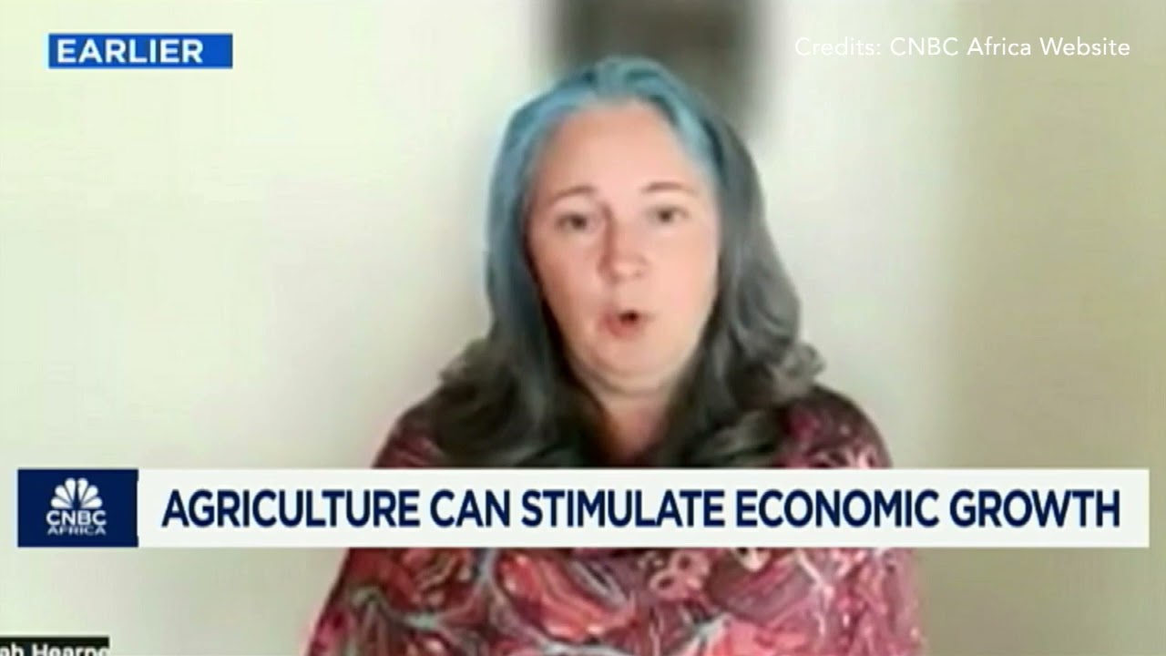 CNBC Africa with Dr. Sarah Hearne: Africa’s economic development
