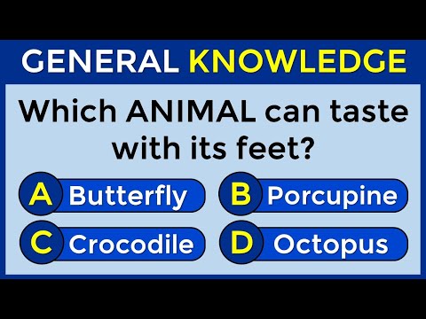 How Good Is Your General Knowledge? Take This 50-question Quiz To Find Out! #challenge 24