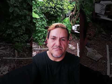 Inacio Martins Paraná vídeo novo todos