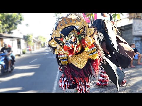 NGELAWANG GALUNGAN 2021 - Barong Bangkung Swara Ngelawang Kembali