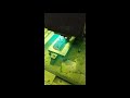 Přehrát video