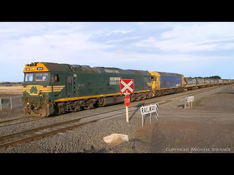 Broad Gauge Grain Train At Railway Crossing (29/1/2021) - PoathTV Australian Railways