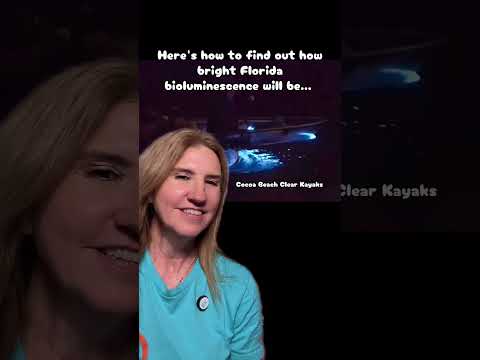 Check out BK Adventure's Bio Glow Report online... Daily updates from locations in Cocoa Beach,
