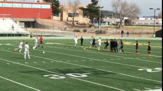 Direct Kick Shank