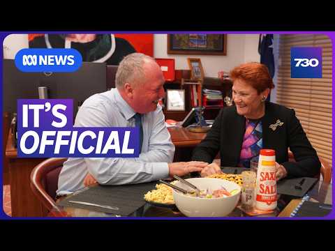Why Barnaby Joyce joined One Nation | 7.30