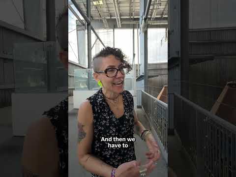 Should you recycle? Here's how it really works
