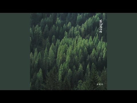 Scar (Feat. CHEETAH)