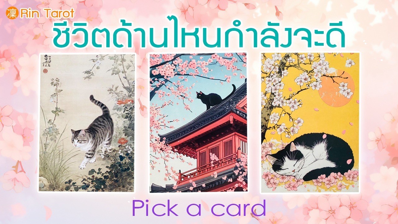 Pick a Card | ชีวิตด้านไหนกำลังจะดี ภายในไม่เกิน 3 เดือนนับจากนี้