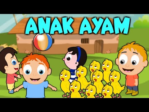 10 chicks - ANAK AYAM - TEK KOTEK | Malay Nursery Rhymes | Malay/Melayu Kids Songs Compilation