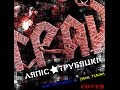 Ляпис Трубецкой - Зорачки (Онойченко В. Ткачук Д.) vocal and guitar cover 