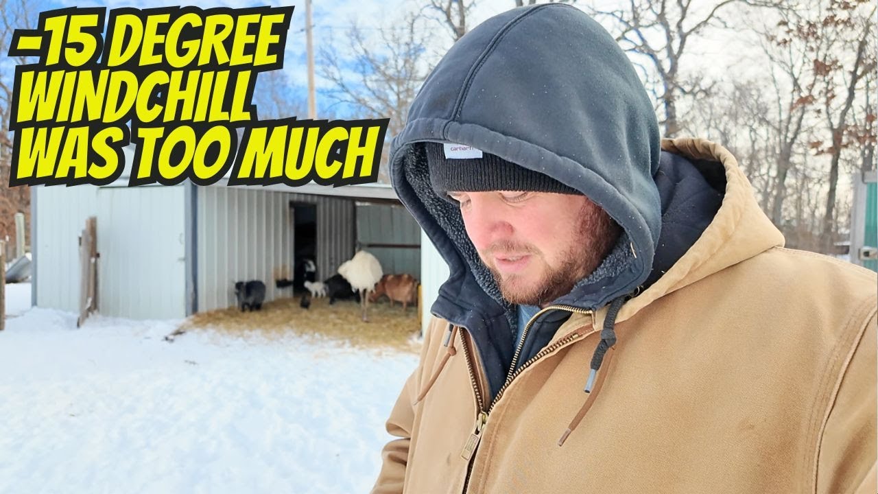 WE LOST THEM  (NEVER IMAGINED THIS HAPPENING)