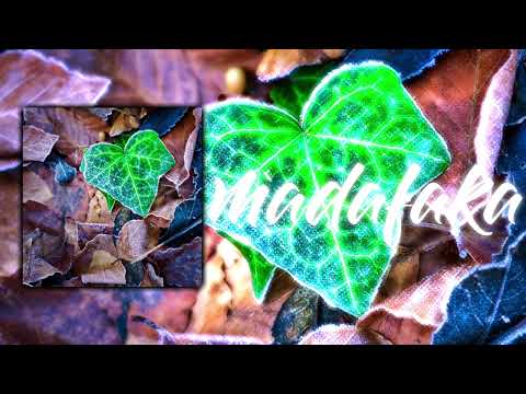 ZALEILA - ( LOCKSIDE SVG )