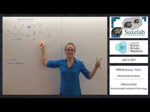 fMRI Bootcamp Part 4 - Multivariate Analysis