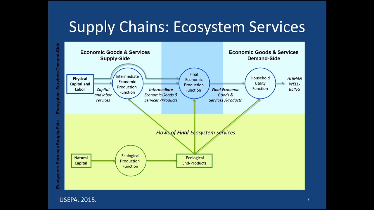 SoMAS - Estimating and Accounting for Economic Values of Coastal Ecosystem Services