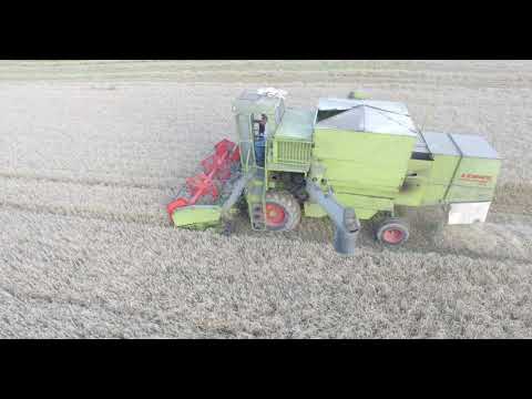 Harvest 2020 Claas dominator 85 + Deutz Fahr M1630H