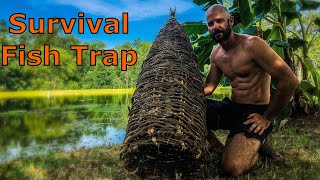 Download lagu Primitive Survival Fish Trap - Build, Catch and Cook mp3 Download lagu Primitive Survival Fish Trap - Build, Catch and Cook mp3